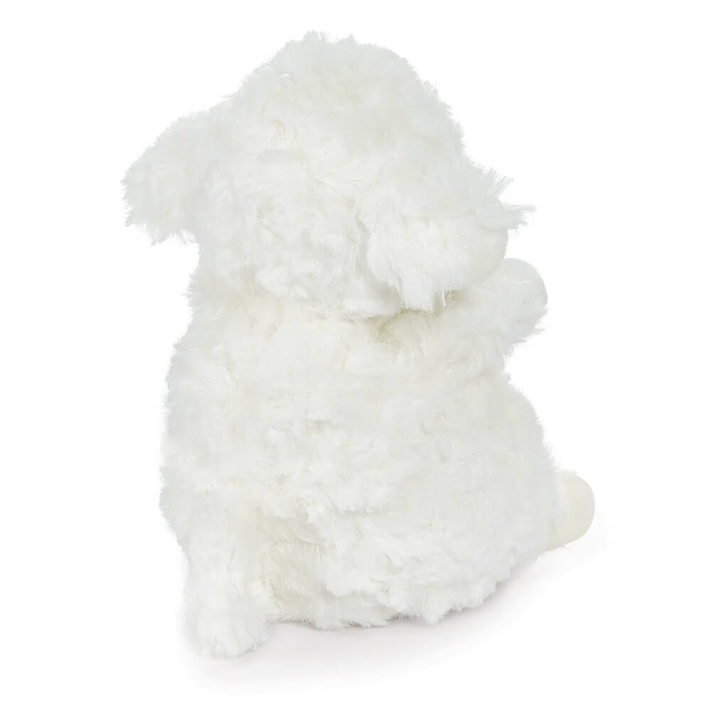 Wee Kiddo - White | Soft Toy | Kawaii