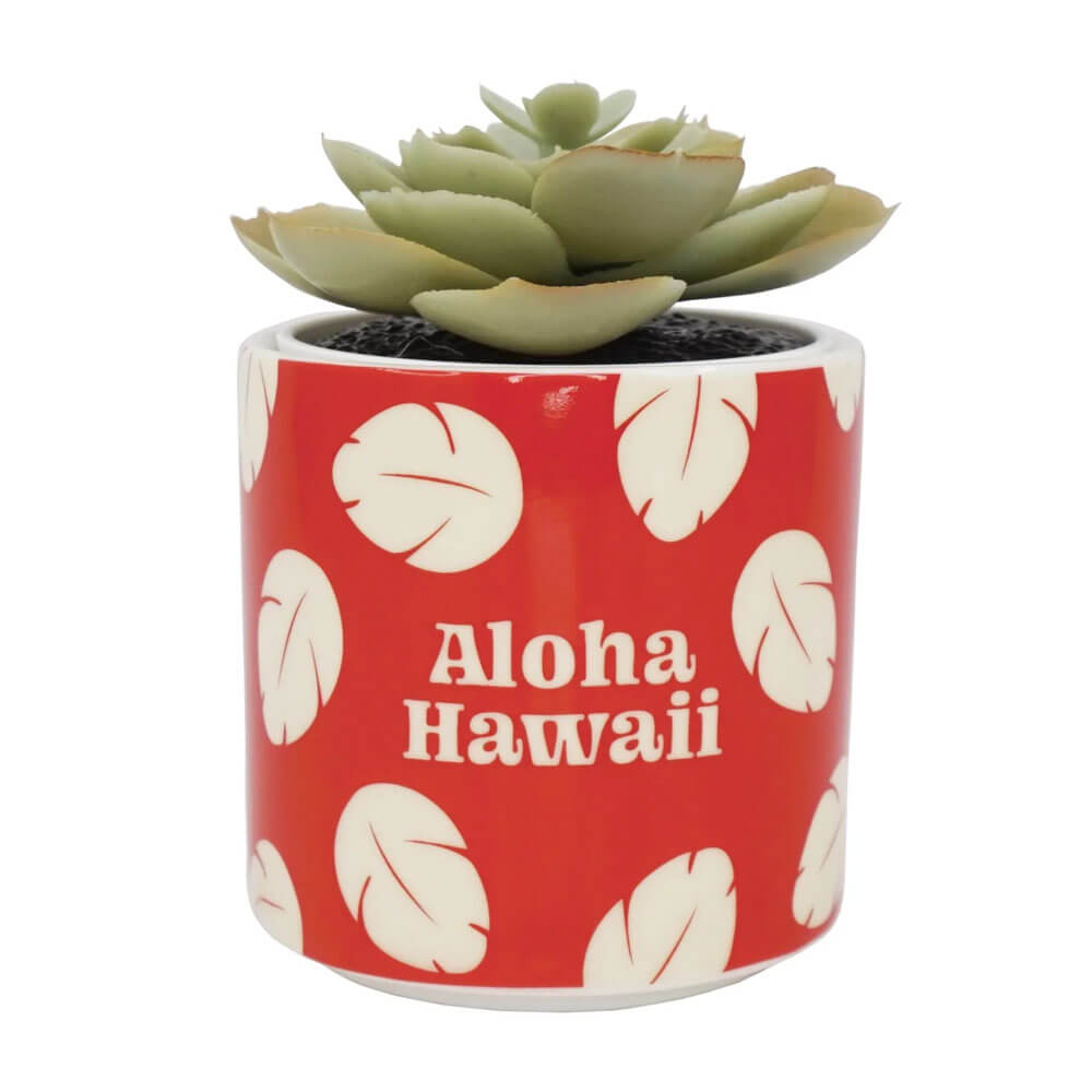 Disney Lilo & Stitch - Planter with Faux Plant | Home Décor| Kawaii